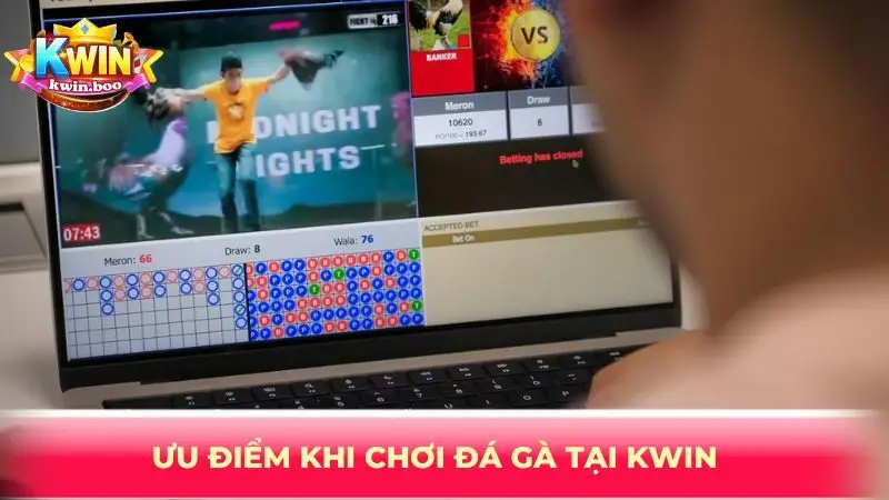 Ưu điểm khi chơi đá gà tại KWIN